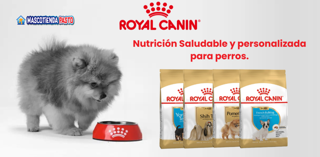 royal canin perros en pasto