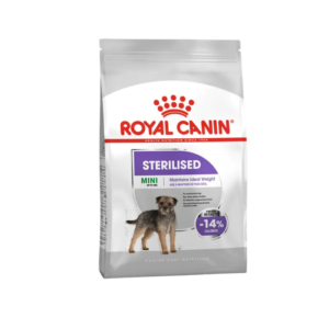 Royal canin mini sterilised en pasto
