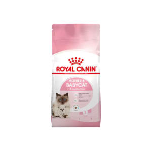 Royal canin mamas y gatos bebes en pasto
