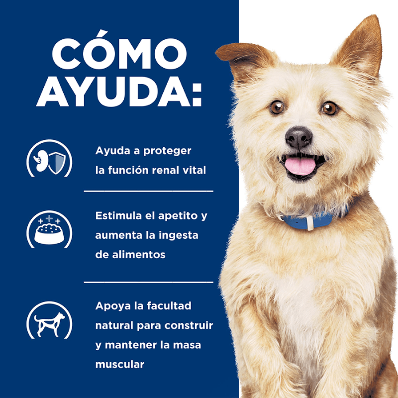hills kd perros en pasto como ayuda