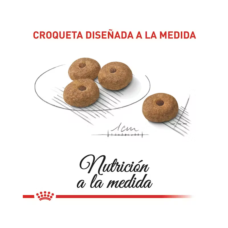 Royal canin mini esterilised croqueta con servicio a domicilio