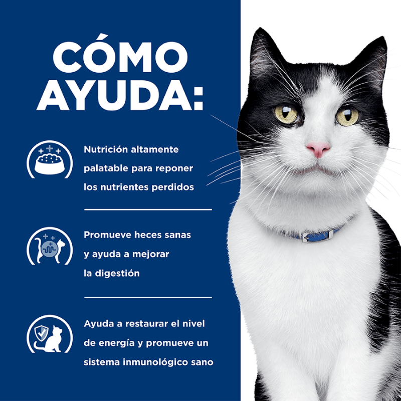 hills gatos i/d como ayuda en pasto con domicilio gratis