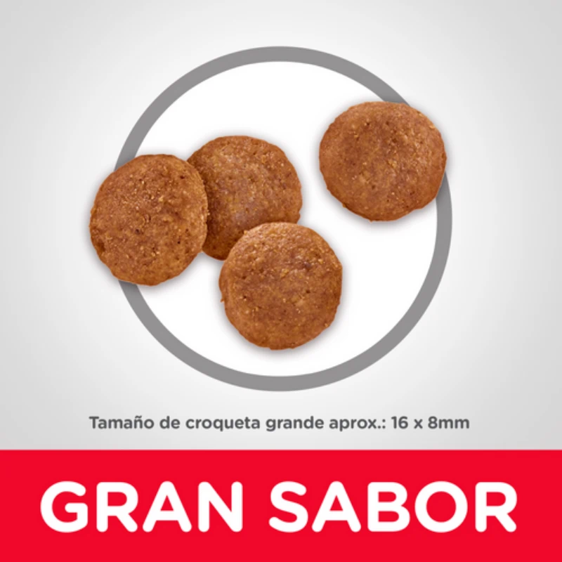 Hills para razas grande en pasto con domicilio gratis