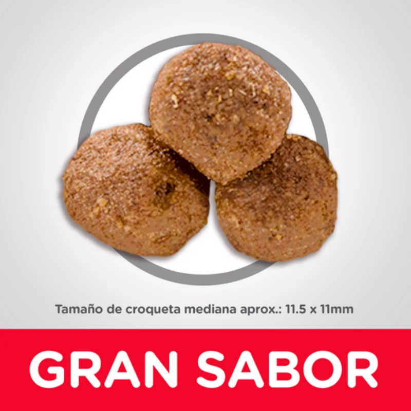 Hills Raza mediana con domicilio gratis en pasto