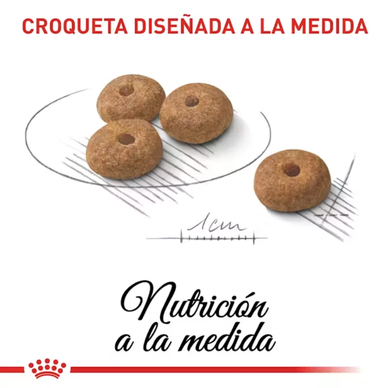 croqueta royal canin sterilised en Pasto