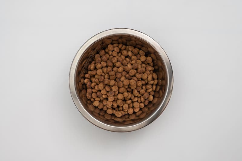 Virbac W grano en pasto con domicilio gratis