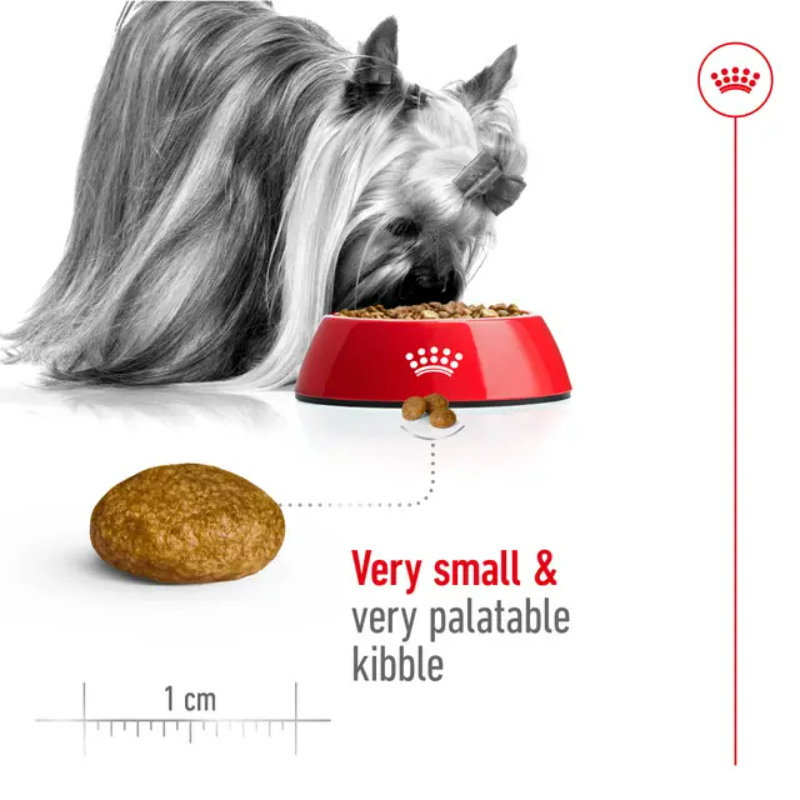 Croqueta royal canin xs para perros razas mini