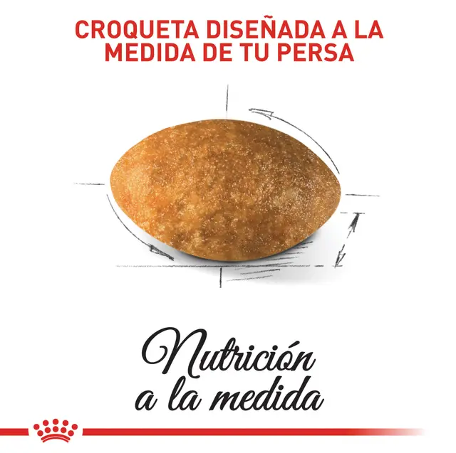 Royal canin persian adult croqueta en pasto con domicilio gratis