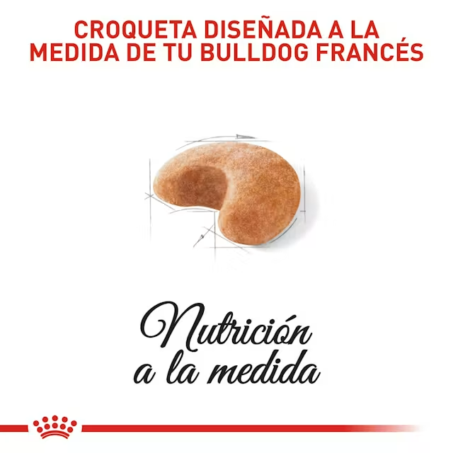 Royal Canin Bulldog frances croqueta en pasto