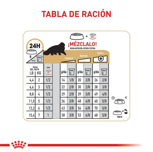 Royal canin persian adult tabla de ración con húmedo en pasto