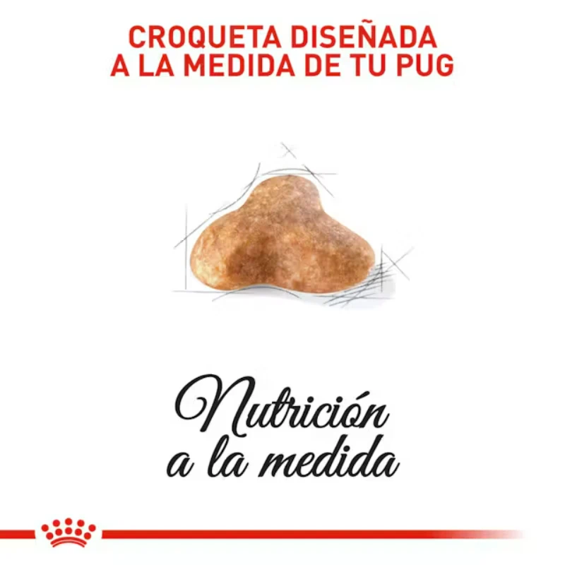 Croqueta Royal Canin pug con domicilio gratis en pasto