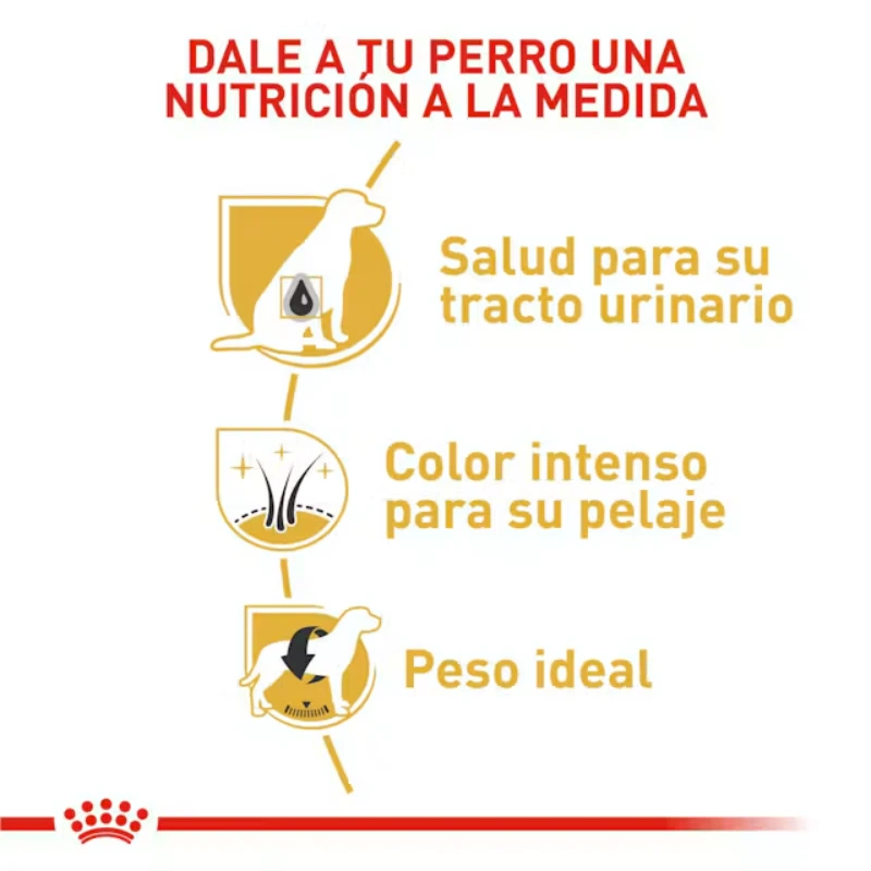 Royal Canin Miniature Schnauzer Adult en colombia