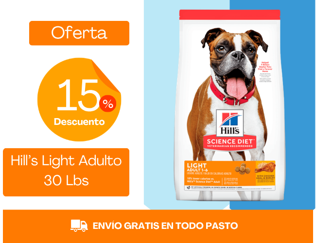 Hills Light adulto en Pasto